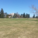 Rachel Schofield KENNEDY Real Estate Edmonton Realtor Laurier Heights (1)