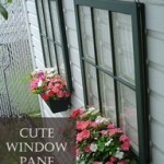 Rachel Schofield KENNEDY Real Estate Realtor Yard Maintenance Outdoor spaces (1)