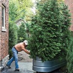 Rachel Schofield KENNEDY Real Estate Realtor Yard Maintenance Outdoor spaces (3)