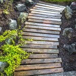 Rachel Schofield KENNEDY Real Estate Realtor Yard Maintenance Outdoor spaces (5)