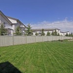 backyard_700[1]