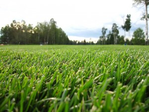 Skeleton Golf and Country Club