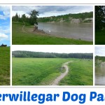 Terwillegar Dog Park Collage