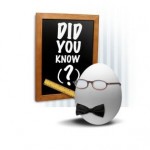 Rachel Schofield Edmonton Realtor Kennedy Real Estate Did you know