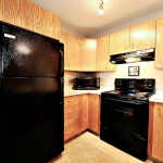 Rachel Schofield Edmonton Realtor 103, 9323 105 Ave (6) Cona Court
