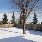 backyard_500