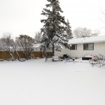 26_greystone_crescent_MLS_HID838189_ROOMbackyard2