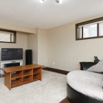 Basement Family Room