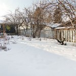 backyard_700