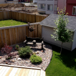 untitled yard 1
