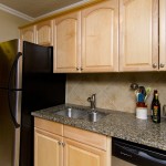 204_10547_83_avenue_MLS_HID880760_ROOMkitchen