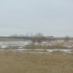 Backyard – 5509 45 St, Bruderheim