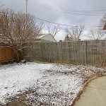 backyard_700