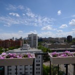 1002_10135_116_street_MLS_HID902210_ROOMbalcony