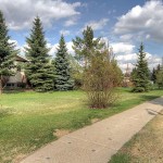 park_700