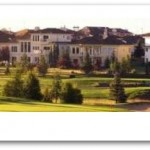 sold in lewis banner