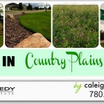 HEADER – country plain estates