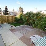 backyard2_700
