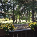 interiorparksummer11751377avedonungerkennedyrealestate_500