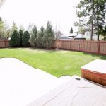 BACKYARD EDIT 2 – Copy