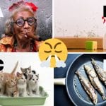 1 Smells that Don’t Sell